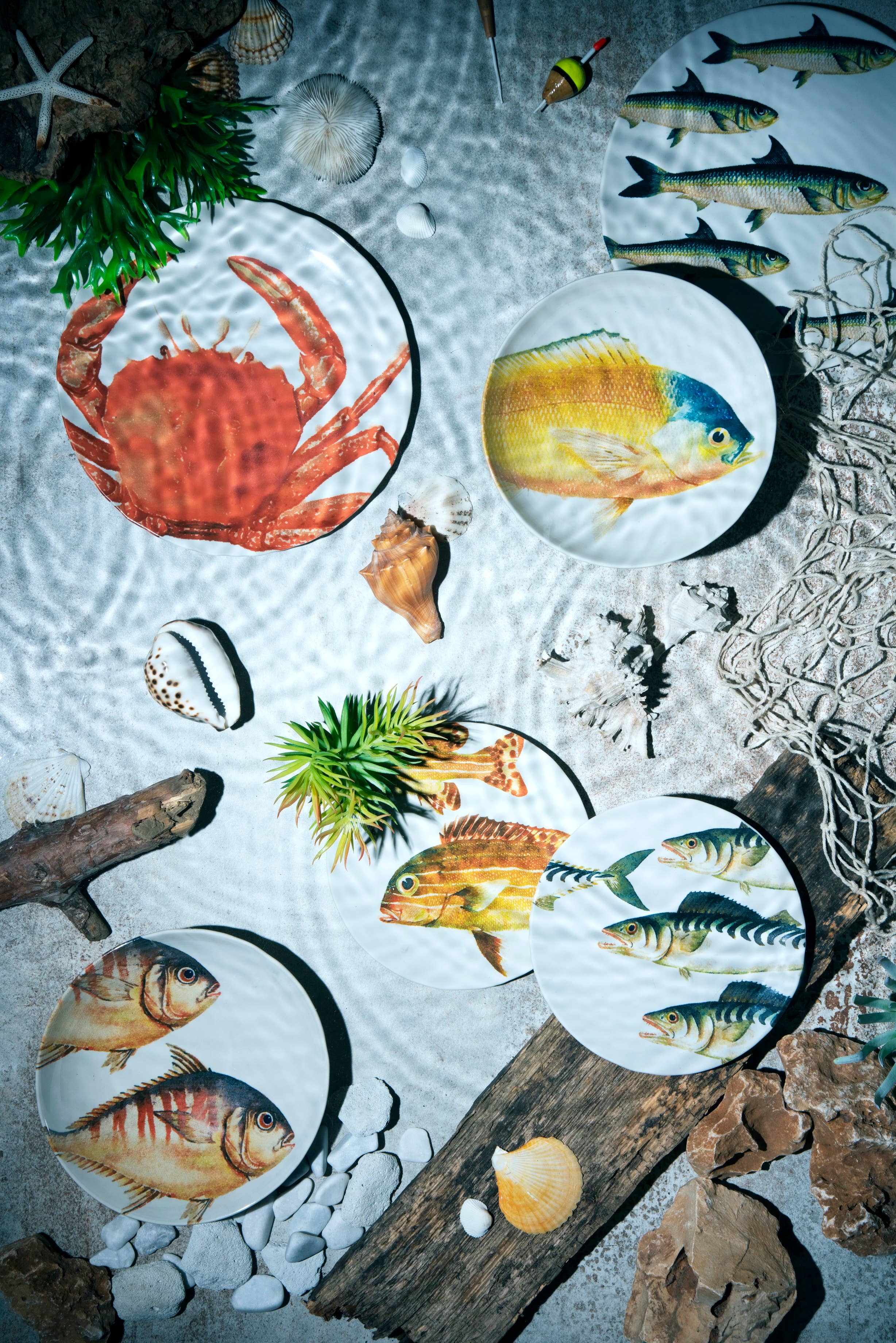 multicolour 18-Piece Portland Dinnerware Set for wholesale on Faire6