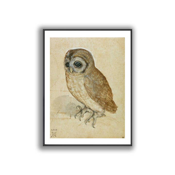 Go To Design - Wholesale Art Print - Fine art print Little Owl by Durer unframed wall art3