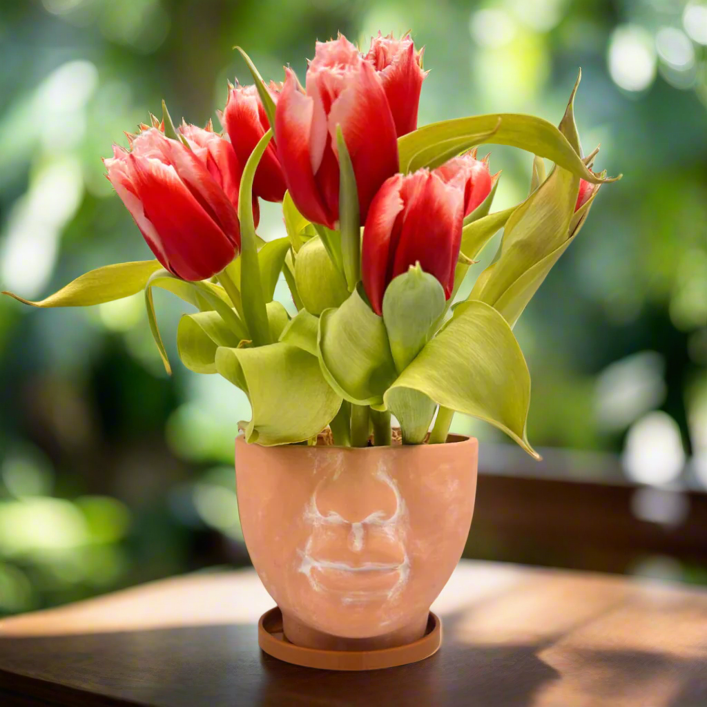 Simply Supplied Co - Wholesale Plant Pot - Face Planter | Terracotta Pot | Unique Planter | Head Pot7