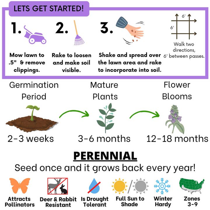 Flawn Seed Kits - Wholesale Plant Seeds - Self-Heal Seed Compostable Hanging Pouch