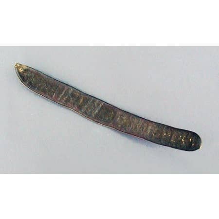 El Alquimista - Wholesale Meditation Supplies - OYA PODS