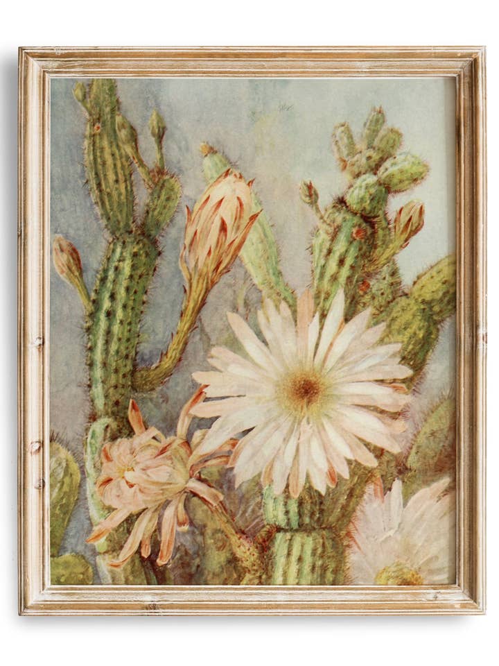 Vintage Cactus Painting | Desert Wall Art | Rustic Boho Painting | Earth Tone for wholesale by Knot & Soul