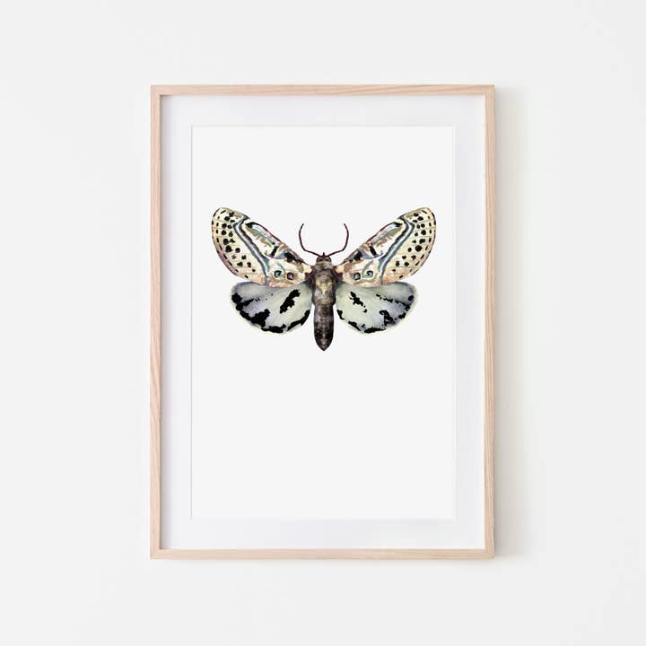 Winter moth art print - A4 and A3 for wholesale by Studio Angelart