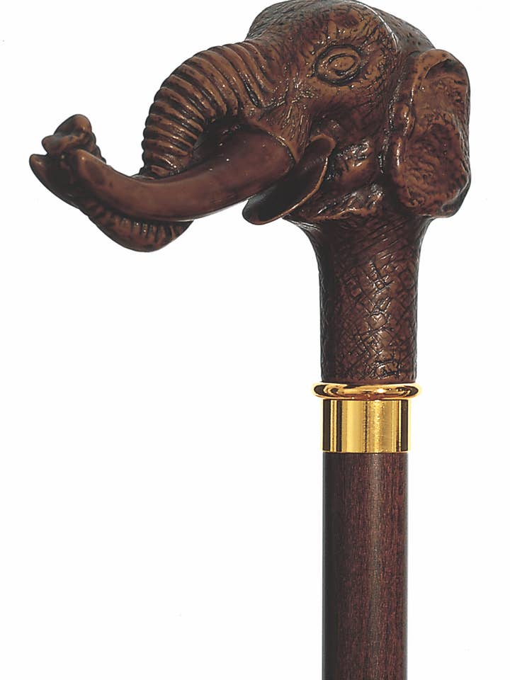 Jumbo for wholesale by Harvy Canes