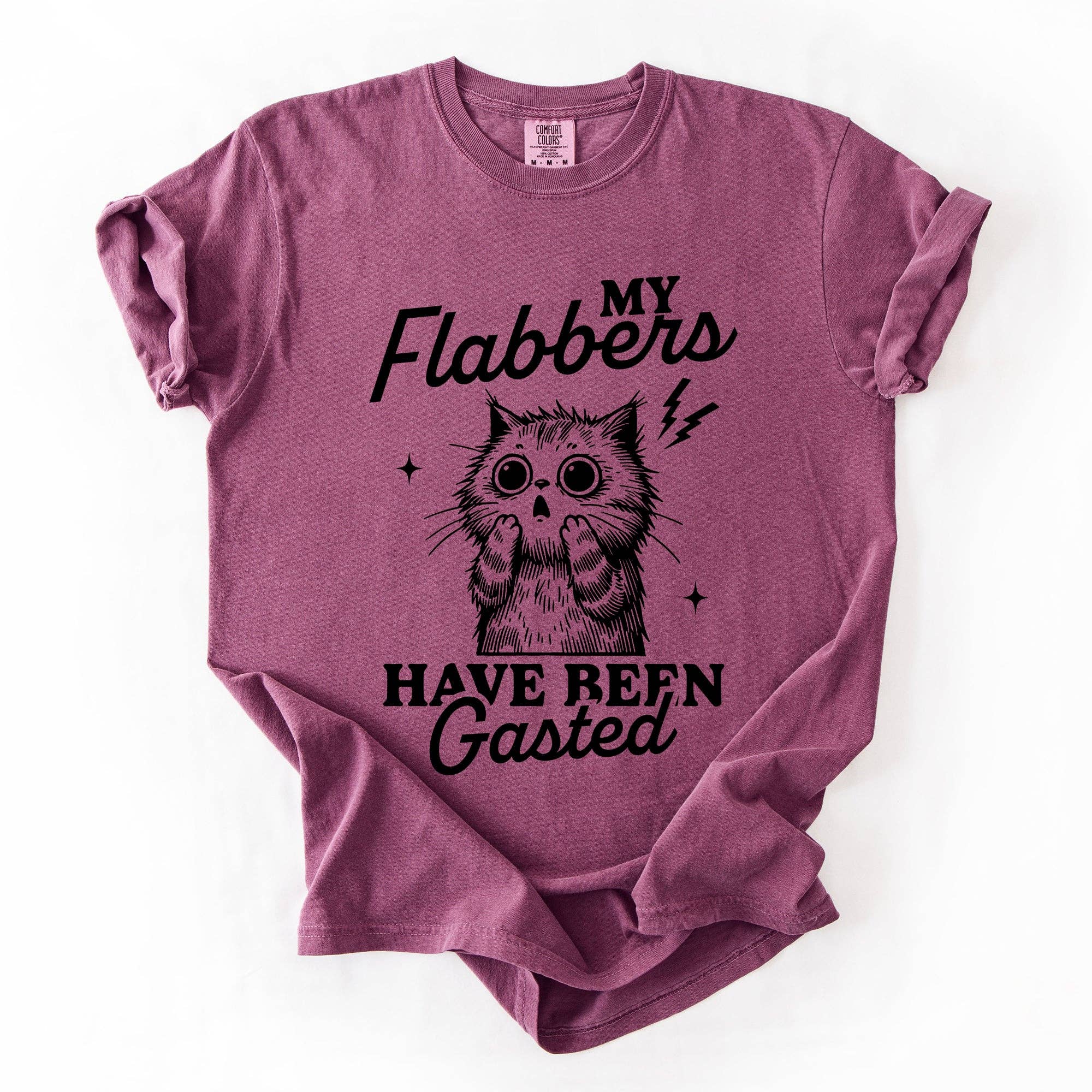 Refinery Number One LLC - Wholesale T-Shirt (Graphic) - Unisex - My Flabbers Have Been Gasted, Funny, Sassy, Sarcastic Tshirt6