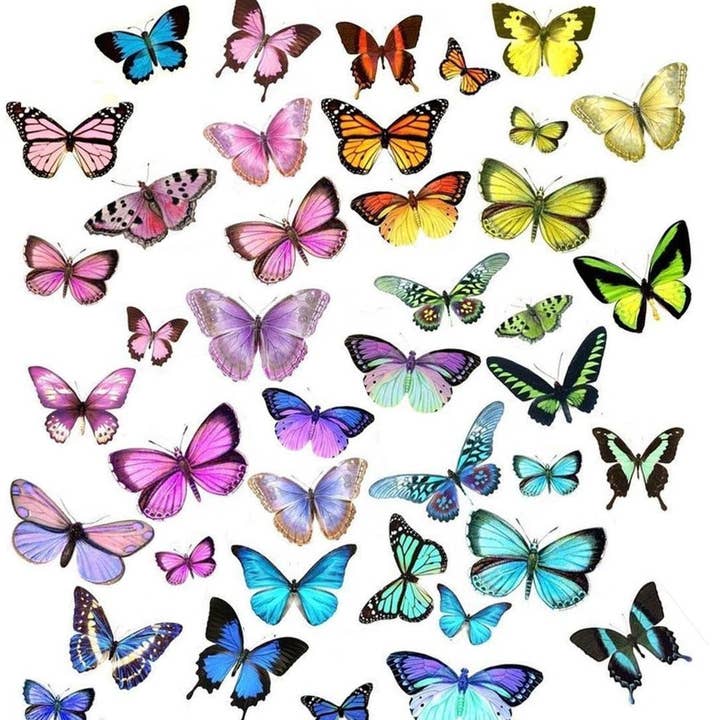 Adhesivos Butterfly Spectrum - TRANSPARENTE para venta al por mayor de DIPPY COW NAILS