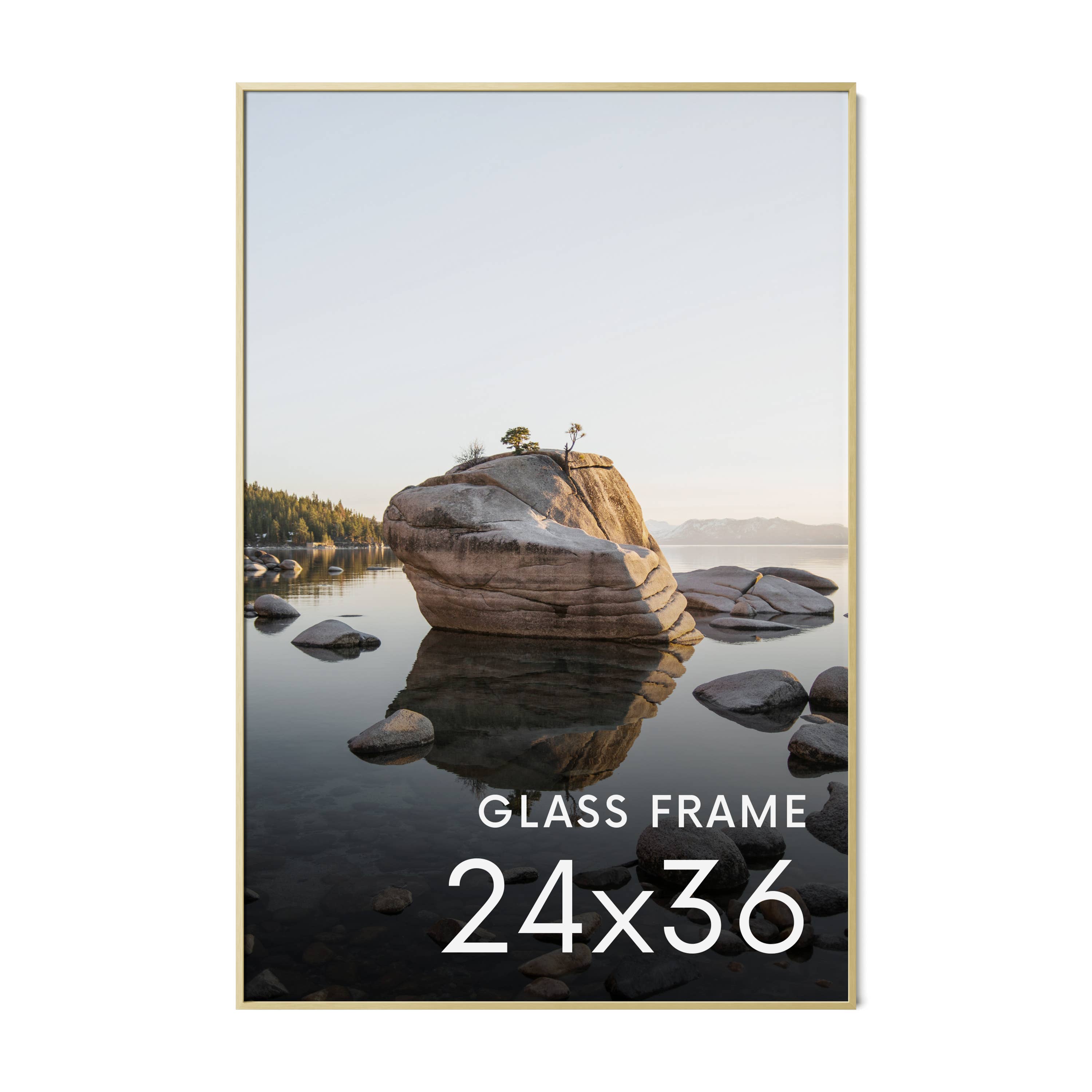 Haus and Hues – Engroshandel Billedramme – Guldmetalramme med glas19