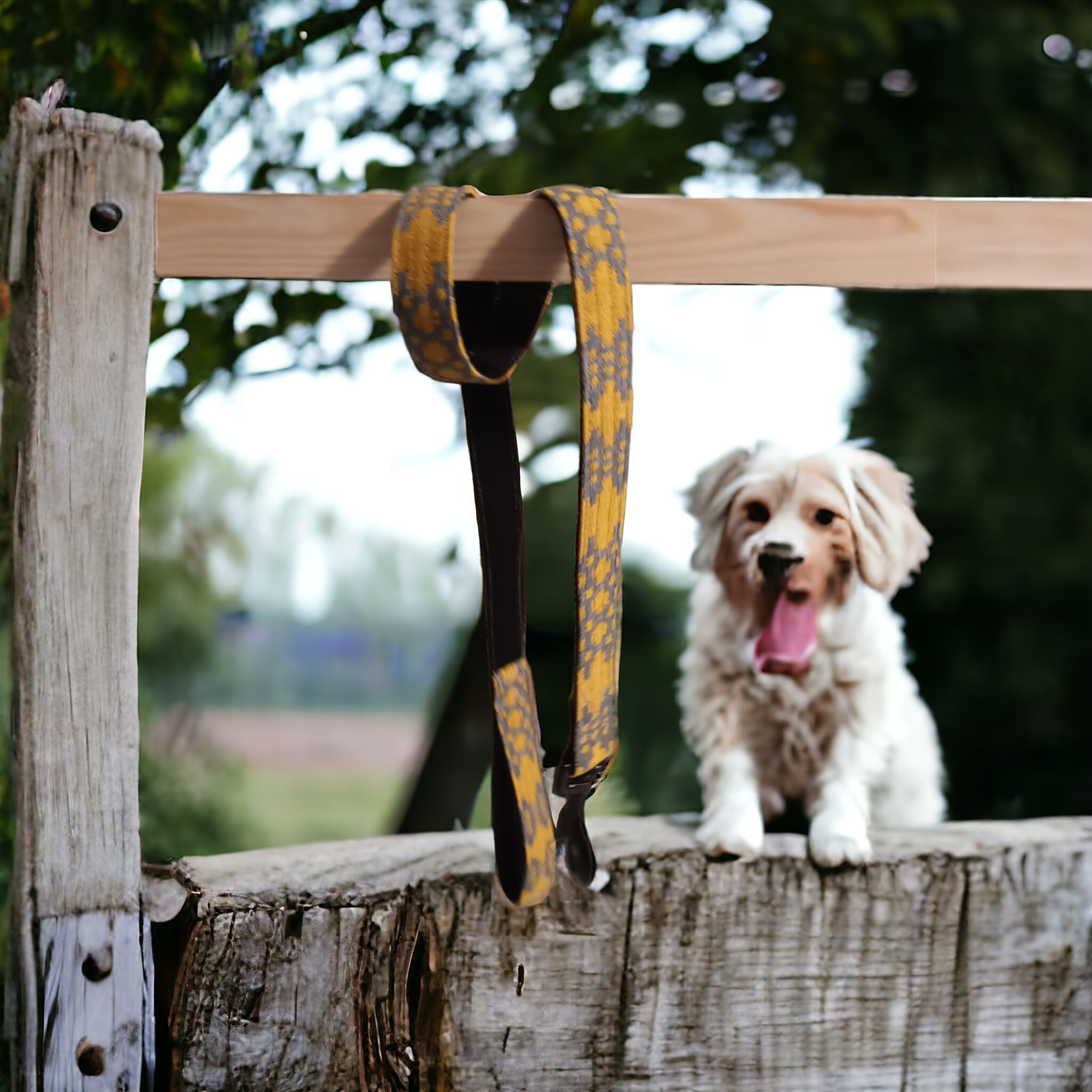 Moose & Co - Venta al por mayor Correa - Perros - Correas para perros artesanales con diseño auténtico de tapicería galesa4