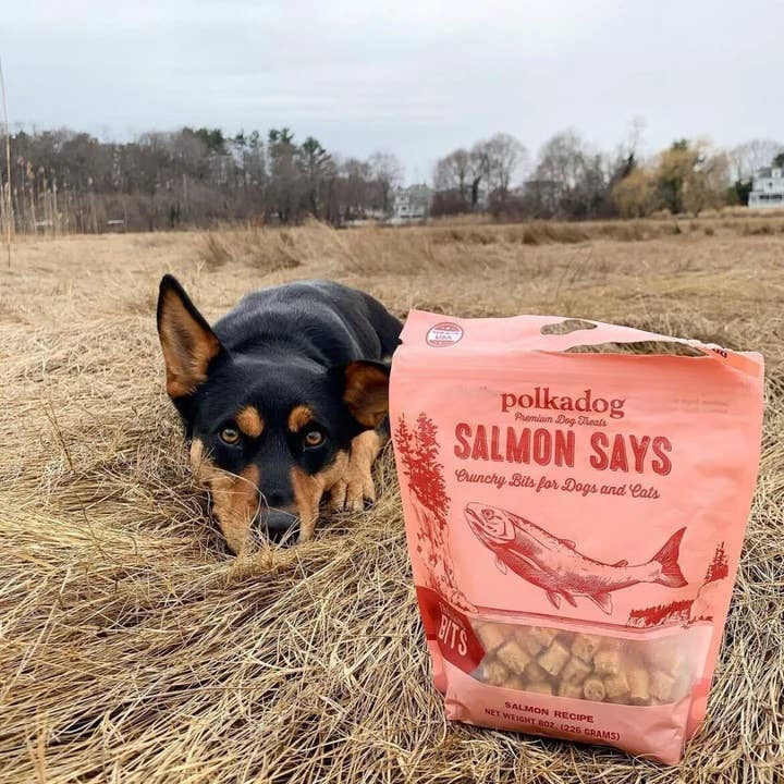 Pet Palette Distribution - Wholesale Pet Treats - Dog - Polkadog Salmon Says Training Bits Crunchy Dog & Cat Treats