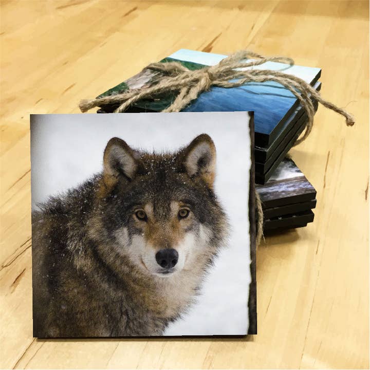 Wolf Trä-och dalbana för wholesale av Minnesota Awesome