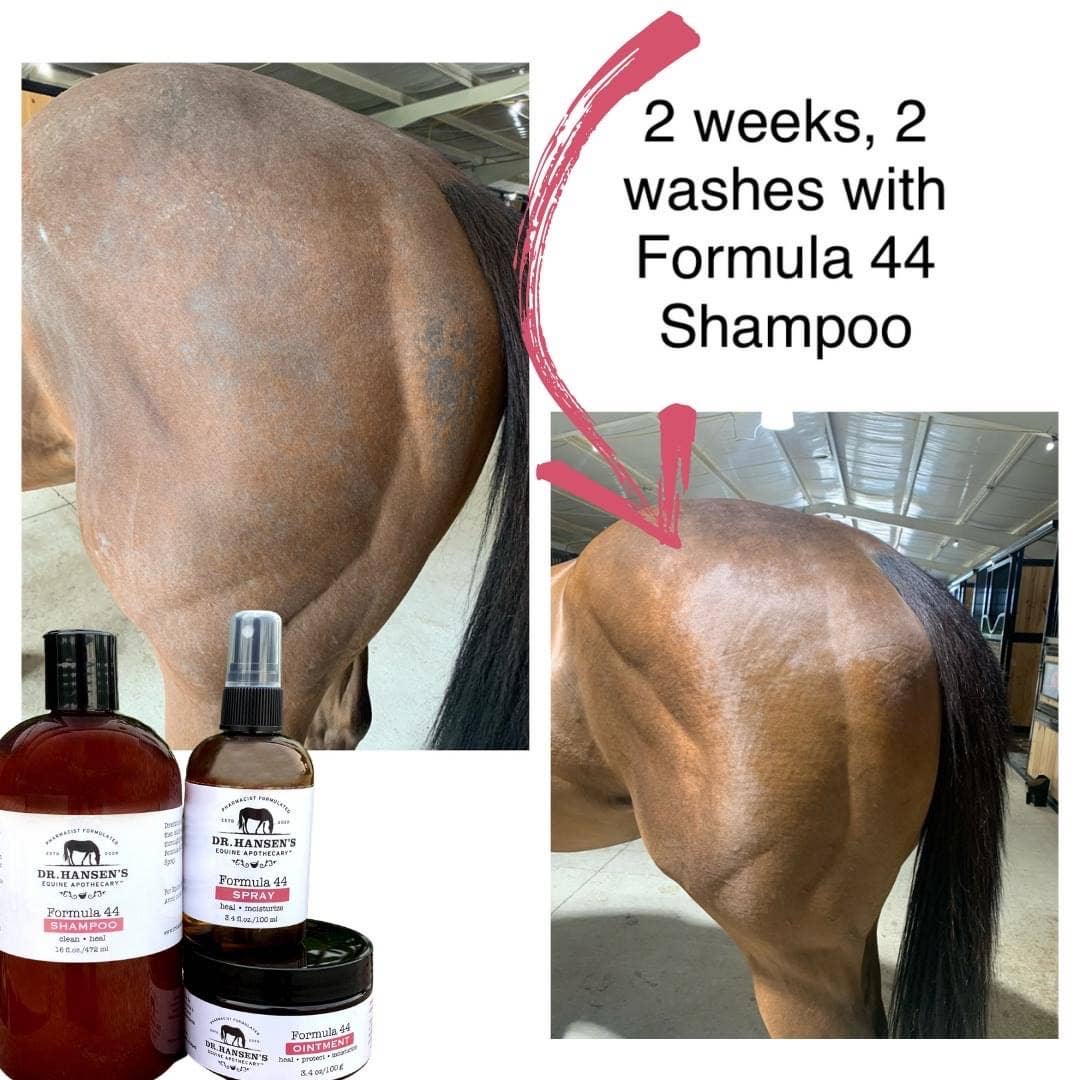 Dr. Hansen's Equine Apothecary - Vente Après-shampoing/produit de soin pour cheval - Shampooing Formula 443