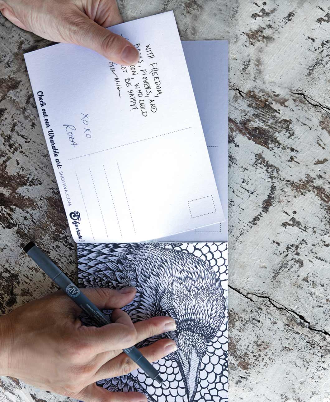 Shovava - Wholesale Colouring and activity book – adult - Adult Coloring Book5