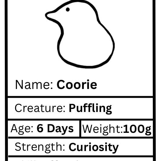 Coorie Inquiet (oiseau) pour la vente par CURED