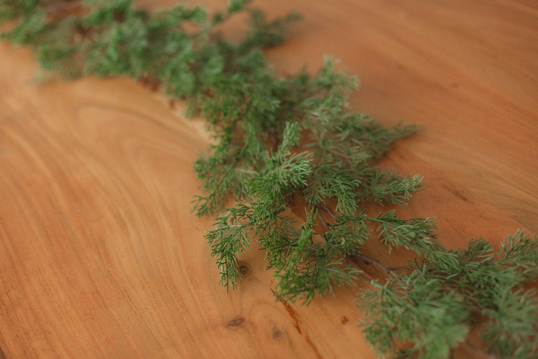 Eucalypt Co. - Wholesale Bunting/Garland - Cypress Pine Garland1