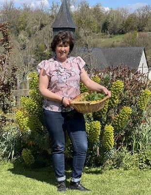 Nini'Bulles – Desodorizante - Mulher por atacado – DESODORIZANTE DE VARA2