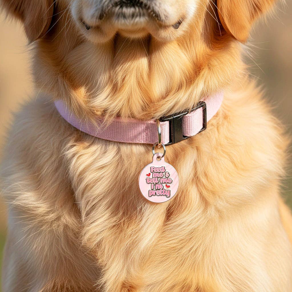 Bad Tags - Vendita all'ingrosso Etichetta per collare - Cani e gatti - Targhetta per cane con codice QR personalizzato - « Tell Me I'm Pretty »7