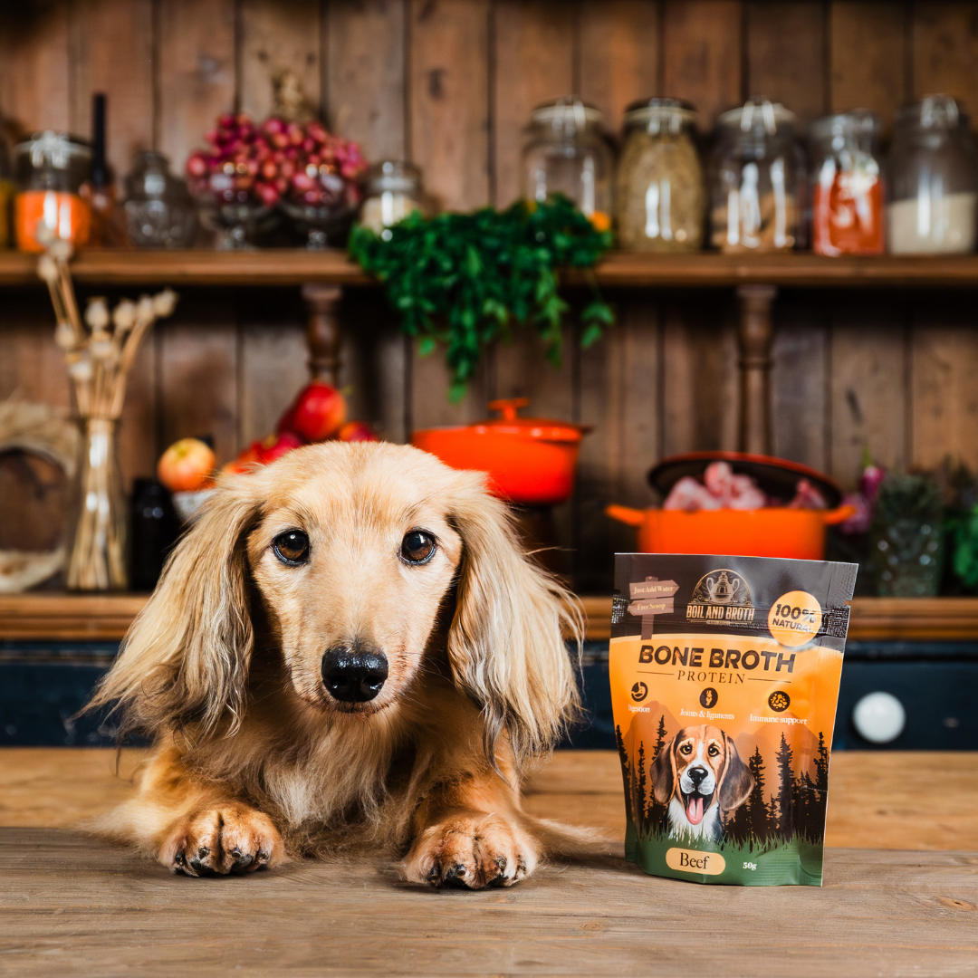 Boil and Broth - Wholesale Pet Food - Dog - Beef Bone Broth Powder for Dogs 50g (Grass Fed)6