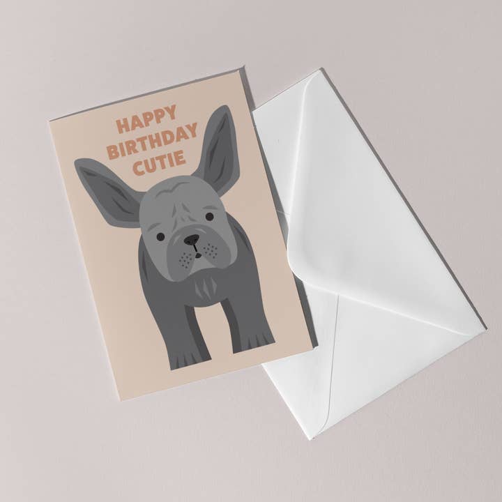 Cute Frenchie for wholesale by Mint Parcel