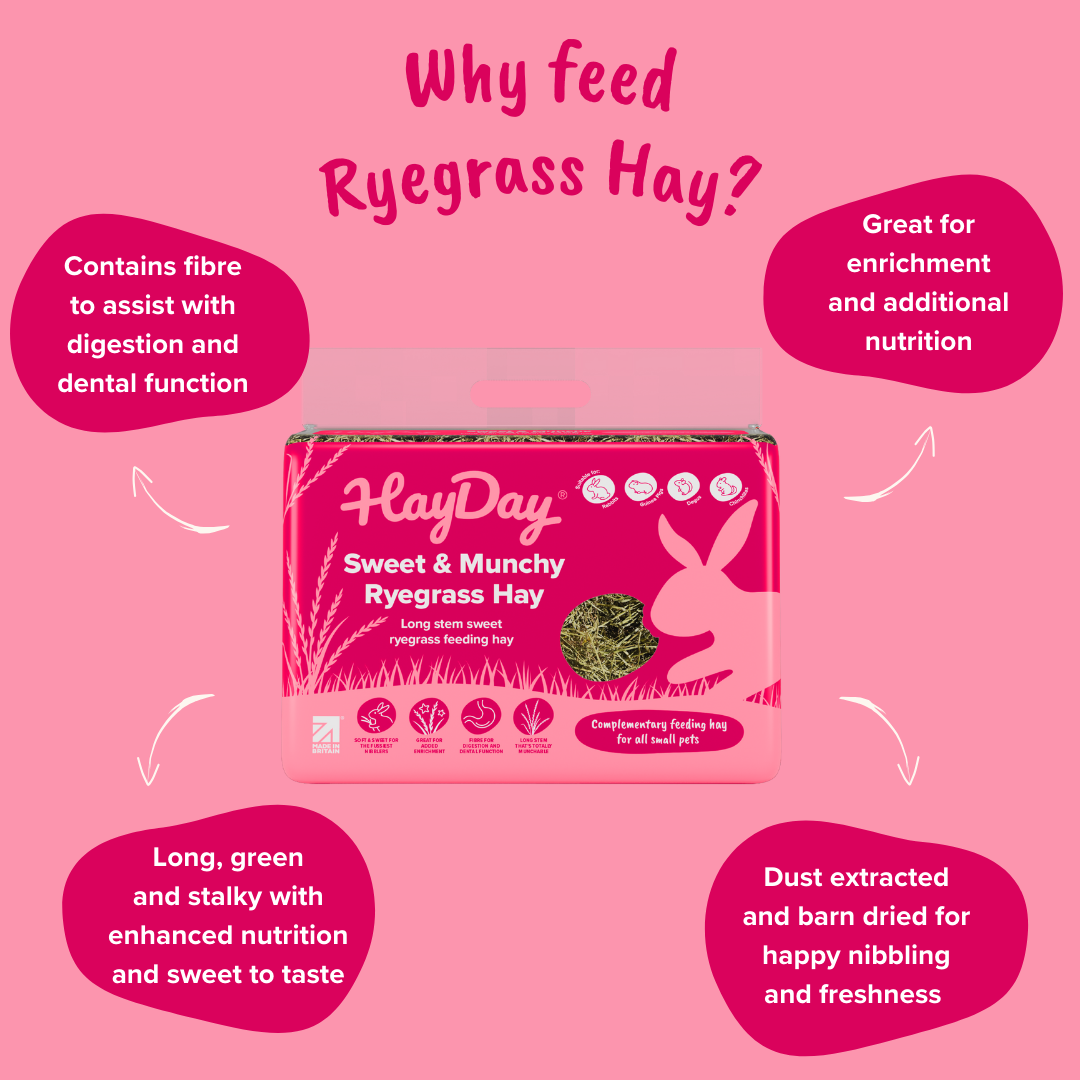 HayDay – wholesale Pet food – Not cat/dog – Sweet and Munchy Ryegrass Hay 1kg2