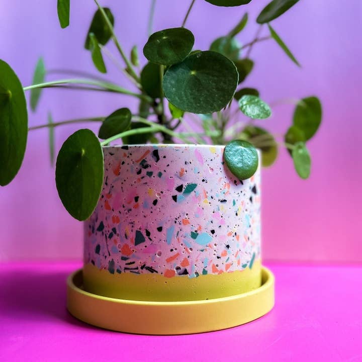 Confetti Planter 6" for wholesale by Grand Trine Designs