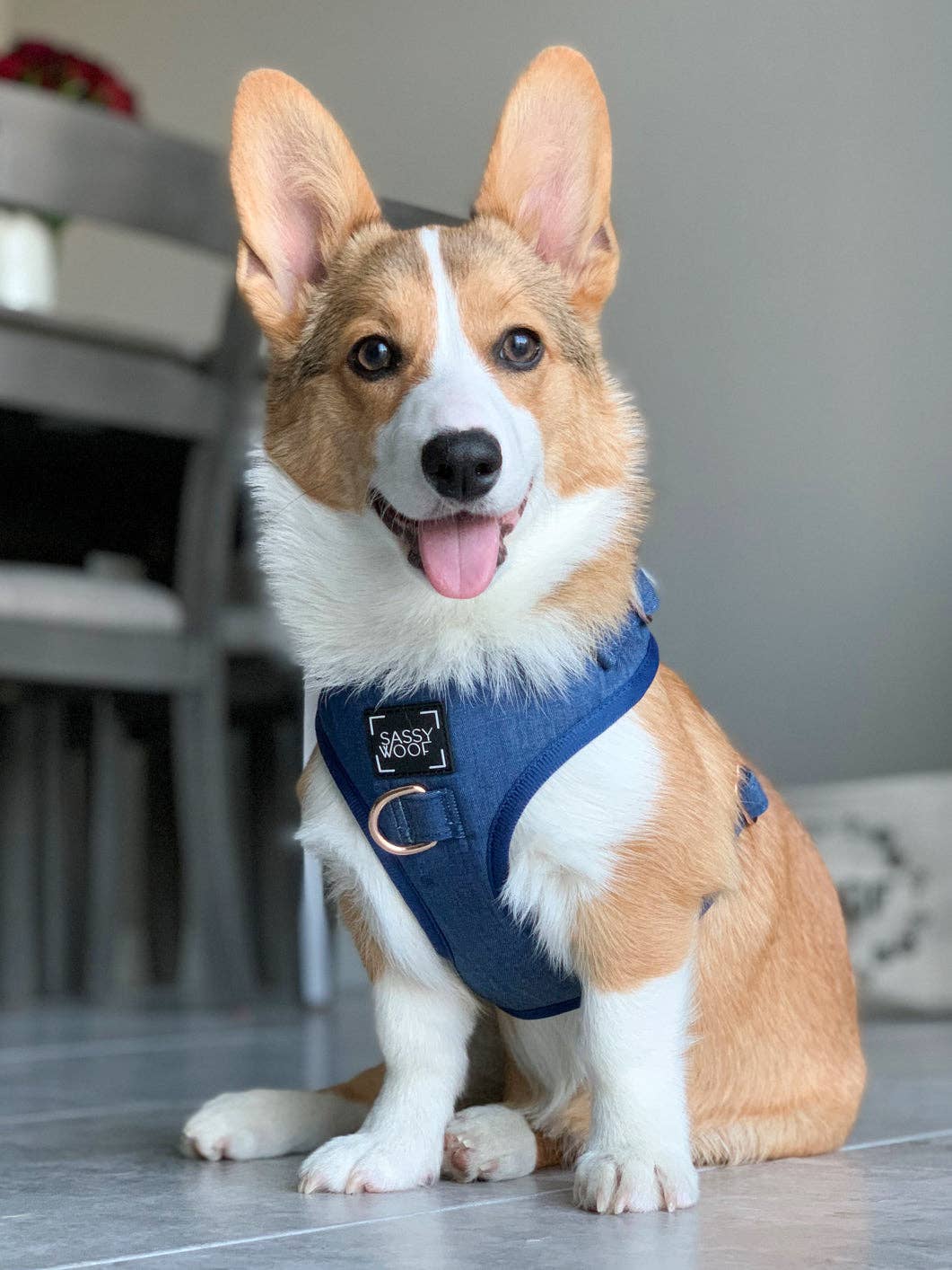 SASSY WOOF - Wholesale Pet Harness - Dog - Dog Adjustable Harness - Denim6