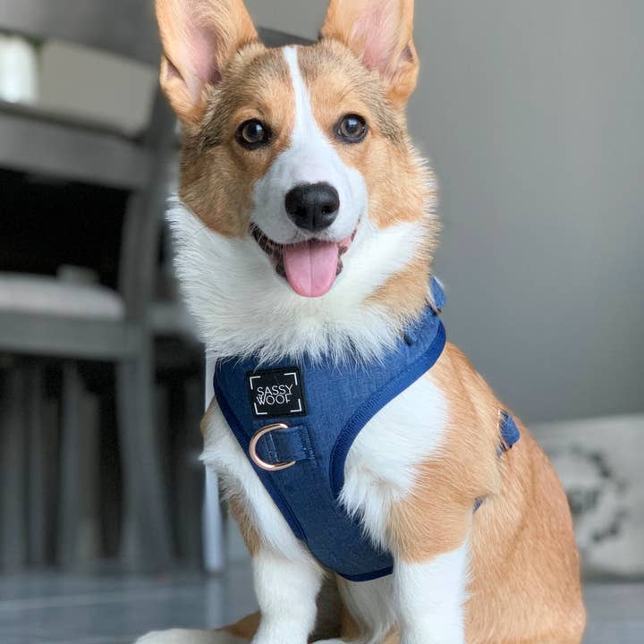SASSY WOOF - Wholesale Pet Harness - Dog - Dog Adjustable Harness - Denim6