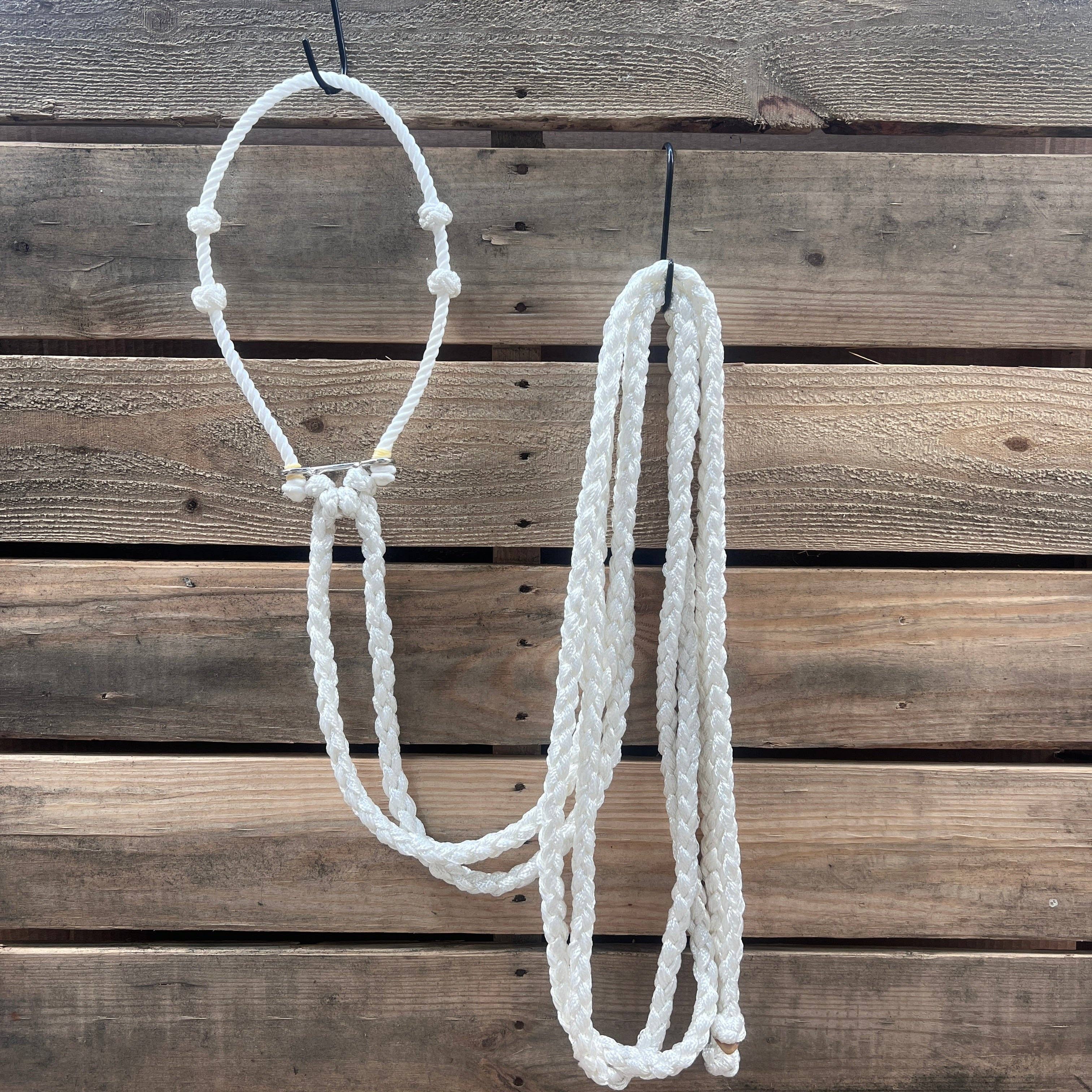 Rodeo Drive - Wholesale Horseback Riding Gear - Lariat  Hackamore and Double Reins - Assorted Colors6