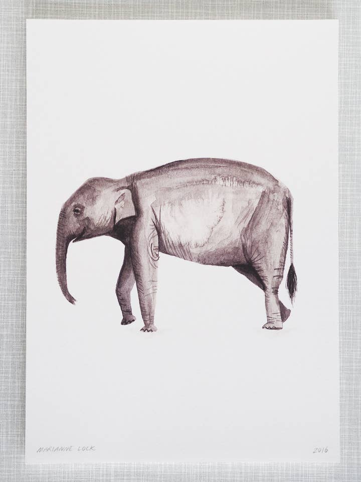 Elephant Animal Print A4 size for wholesale by Mary and the Locks