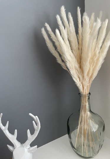 Everlasting Luxe – wholesale Vase – Glass Bottle Vase | Recycled Glass | Height 25cm5