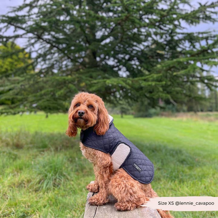Cocopup London - Vente Manteau – chien - Manteau matelassé LUXE pour chien - Midnight Black12