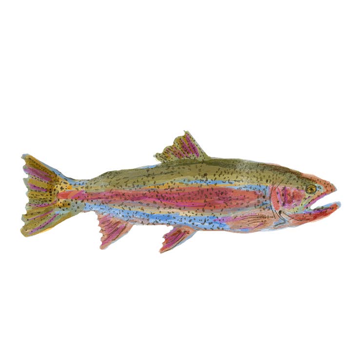 Rainbow Trout Art Print for wholesale by Teryn Elizabeth Bond