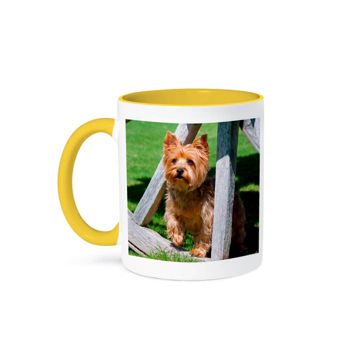 3dRose - Wholesale Coffee Mug - 3dRose, Yorkshire Terrier standing in a wagon wheel, Mug