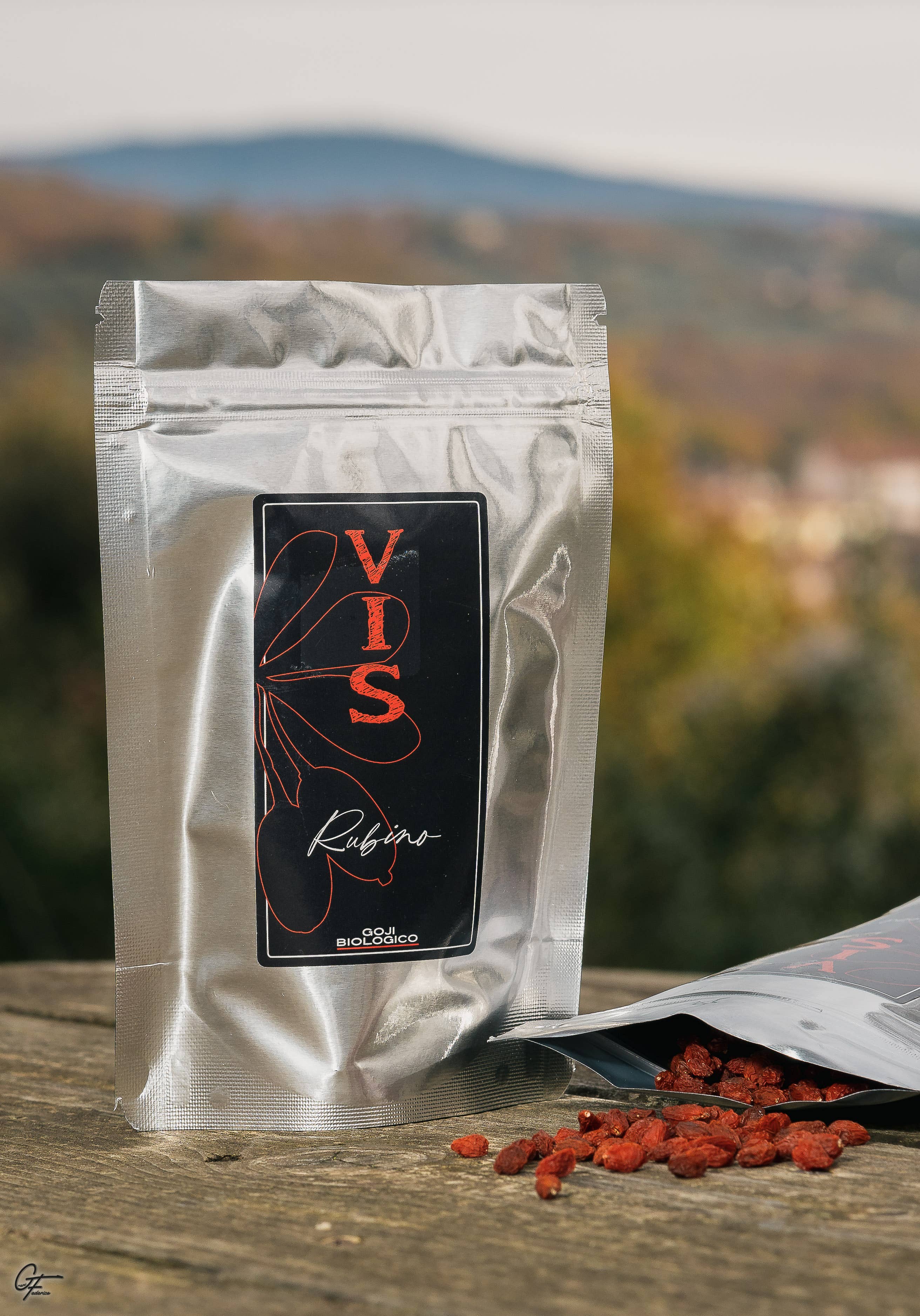 AGRICOLA TERRA FORTE - Wholesale Dried/Dehydrated Fruit - “VIS RUBINO” dehydrated ORGANIC GOJI berries1