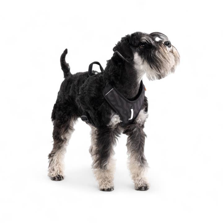 Woolly Wolf - Wholesale Pet Harness - Dog - Roam Harness Black1