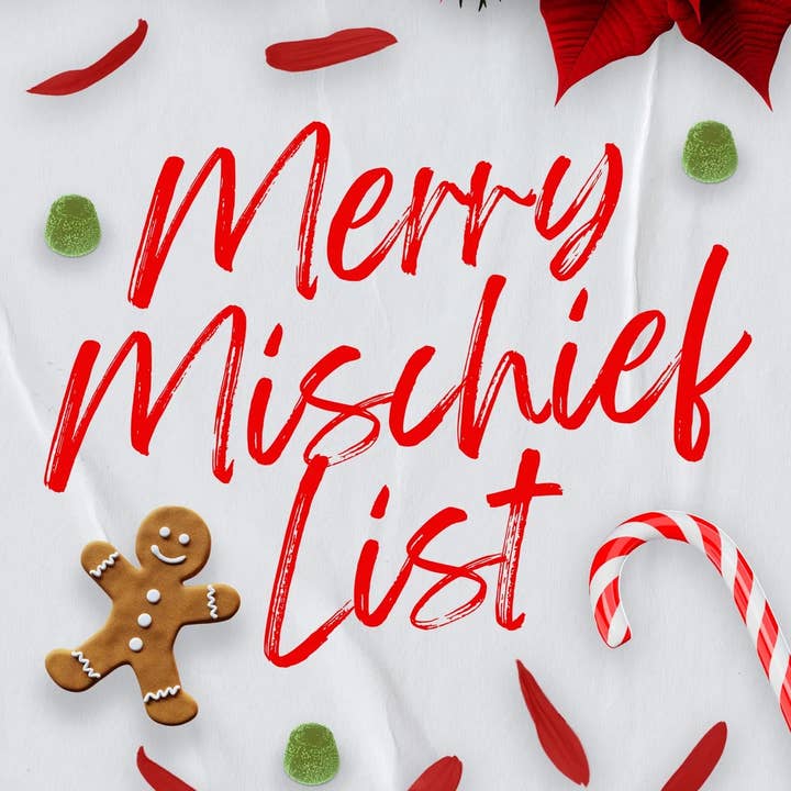 Scribbles Wholesale - Wholesale Book - Adult - Merry Mischief List (Signed Book)