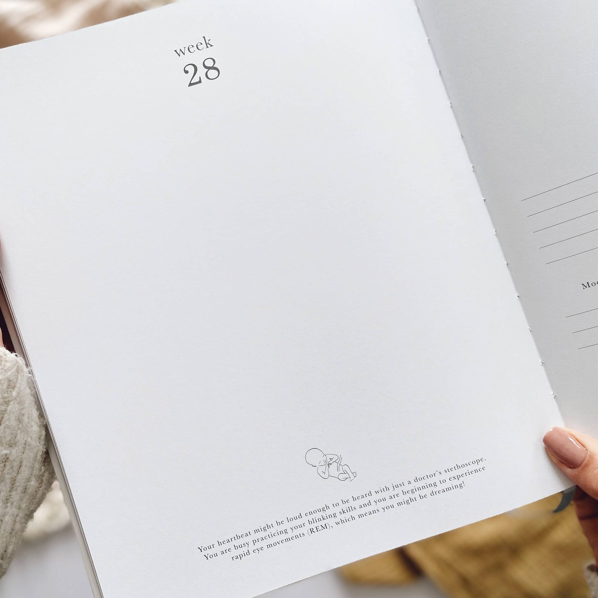 Blush And Gold – wholesale Diary – Maternity – Pregnancy Journal (Animals) expectant mum, parents to be9