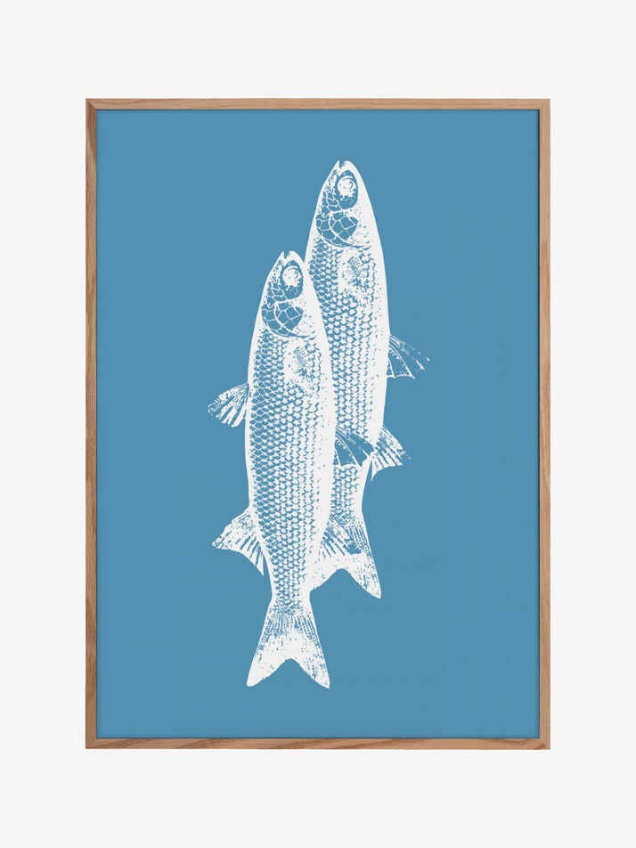 Fisk for engroshandel hos Pictufy Wholesale