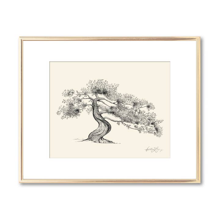 Juniper Tree - Botanical Art - Signed Print - Line Drawing for wholesale by Fly Young Studio
