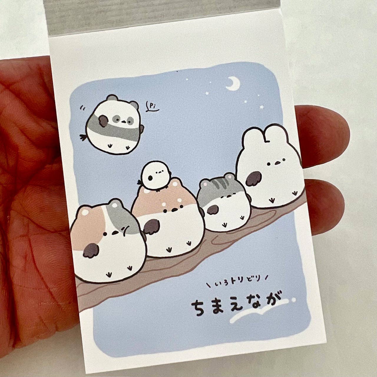 BCmini - Wholesale Notepad - 114552 Round Animal Birds Animals Mini Notepad-1016