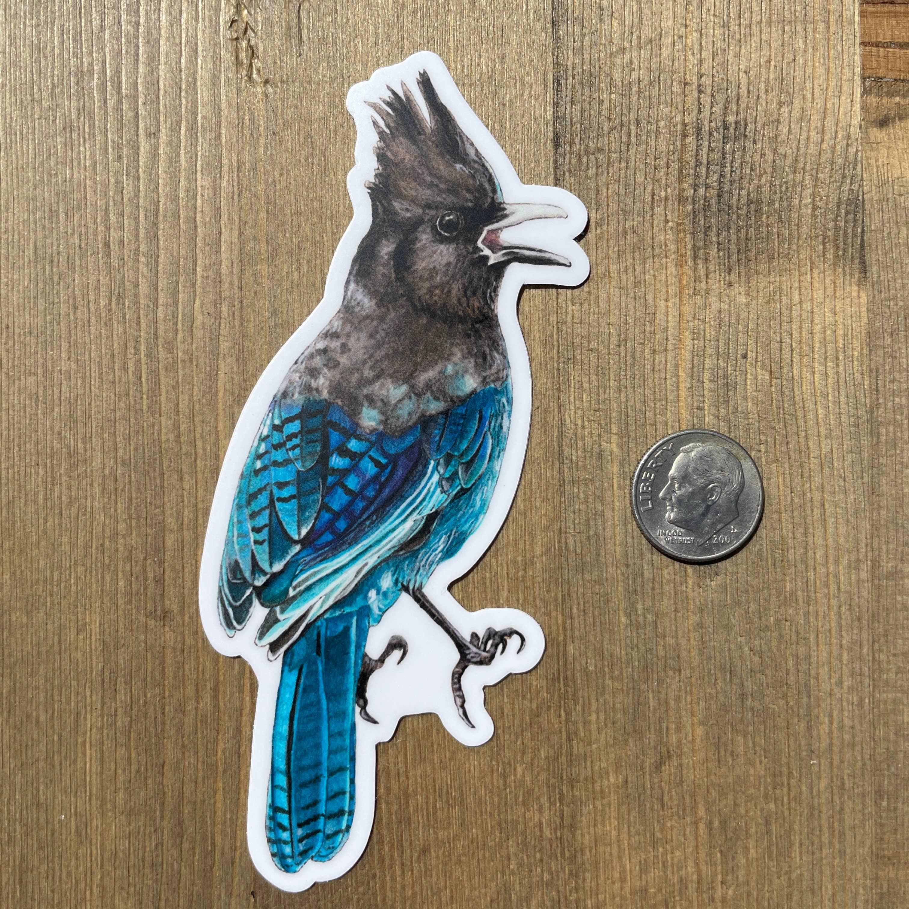 Amy Rose Moore Illustration - Wholesale Sticker - Steller's Jay Vinyl STICKER1