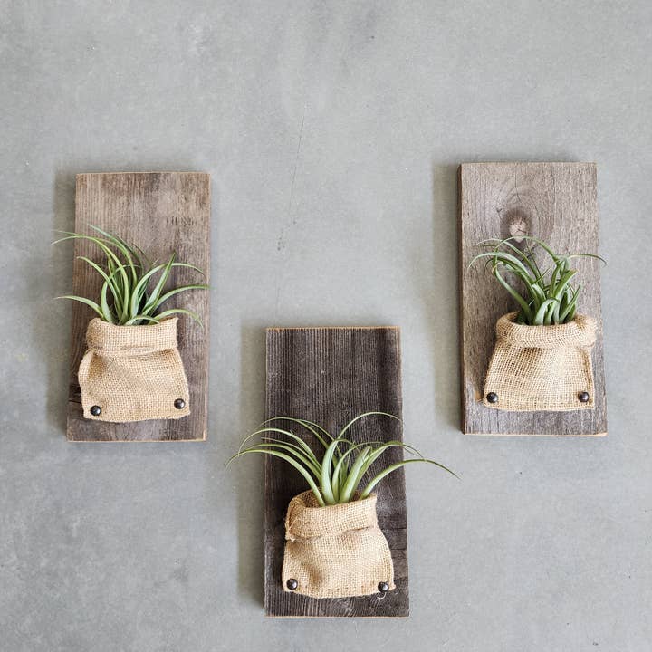 Love Reclaimed - Wholesale Wall Planter - Burlap & Wood Wall Planter (Air Plants Included)