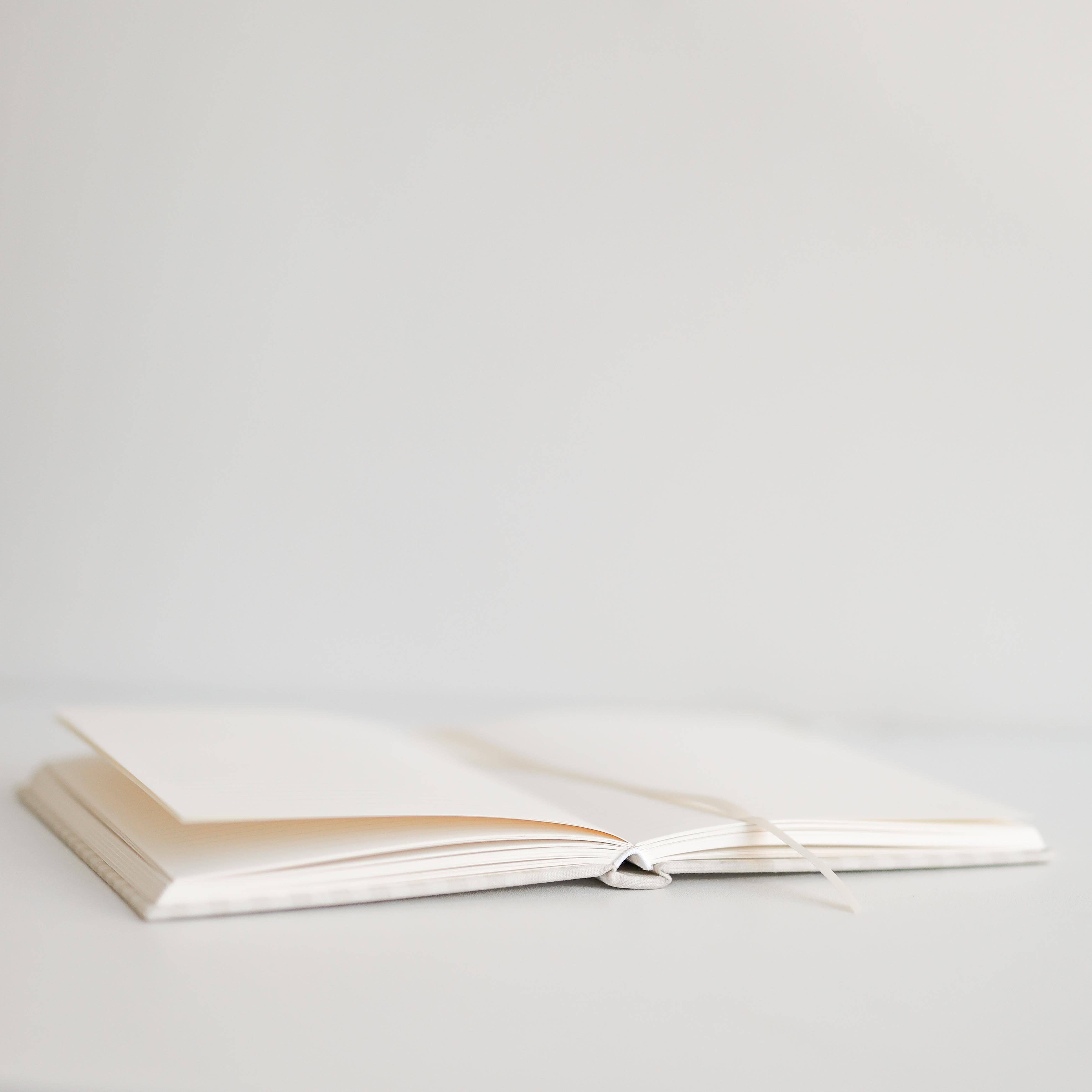 Strawberry Goose - Wholesale Journal/Diary - Gingham Journal6