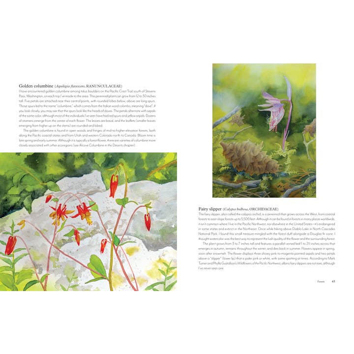 Mountaineers Books - Wholesale Nature & Outdoors - Wildflowers of the West3