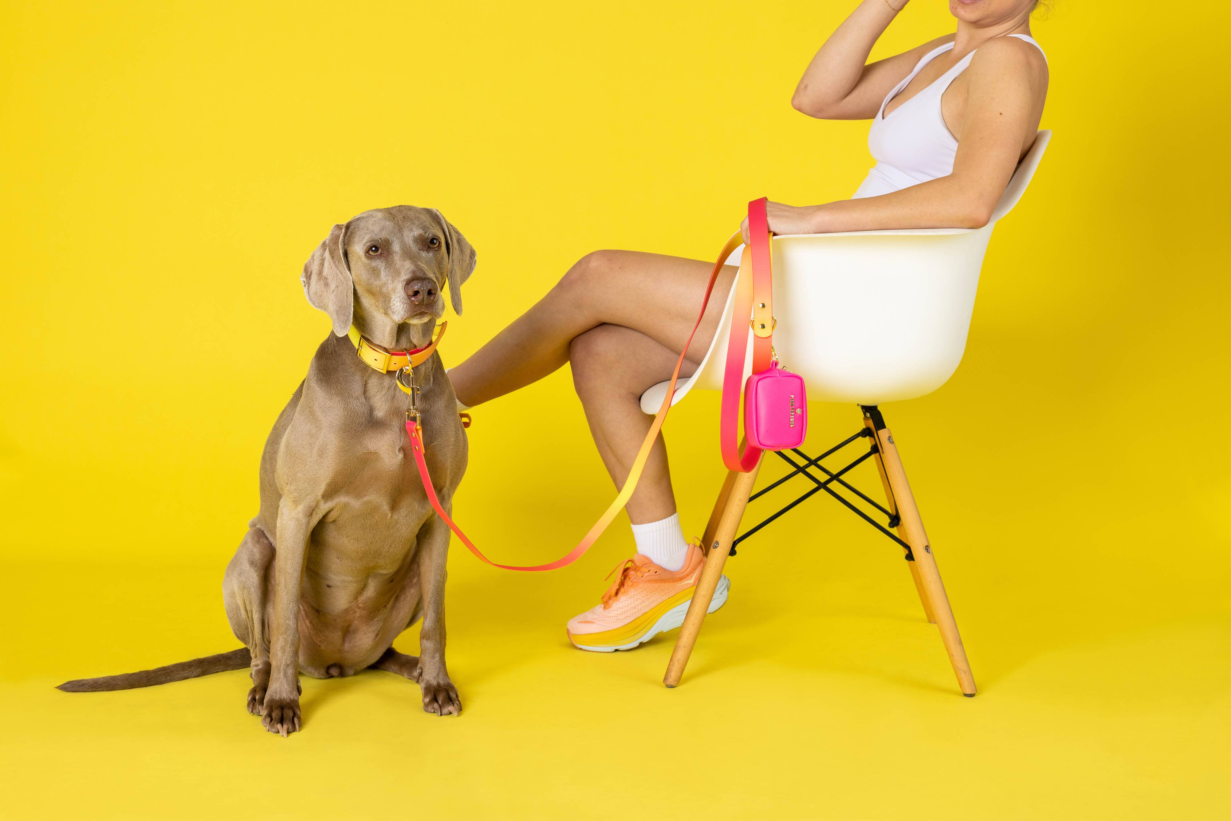 Pink Papyrus | Premium, Durable, & Stylish Dog Products – coleira - Cão por atacado – Coleira para Cão à Prova de Água e Fácil de Limpar Katelin All Weather18