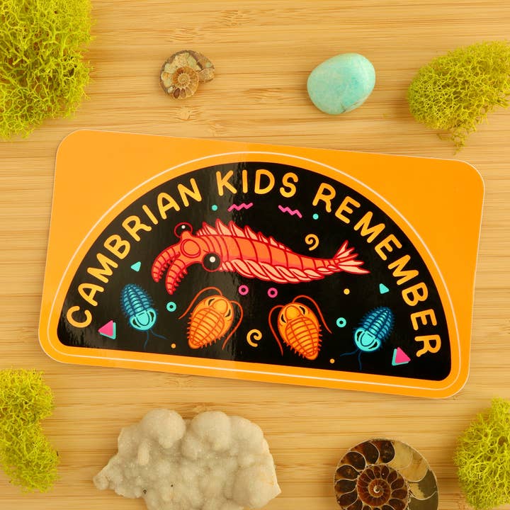 Cambrian Kids Remember Bumper Sticker for wholesale by Fossil Forager