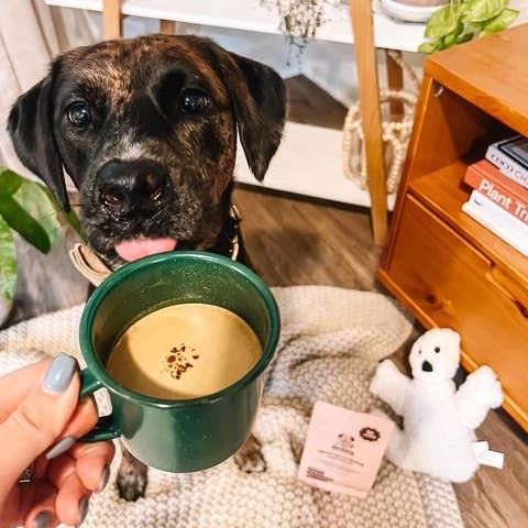 Barkista - Vente Friandises – chien - Café instantané pour chiens Pumpkin Spice Latte4