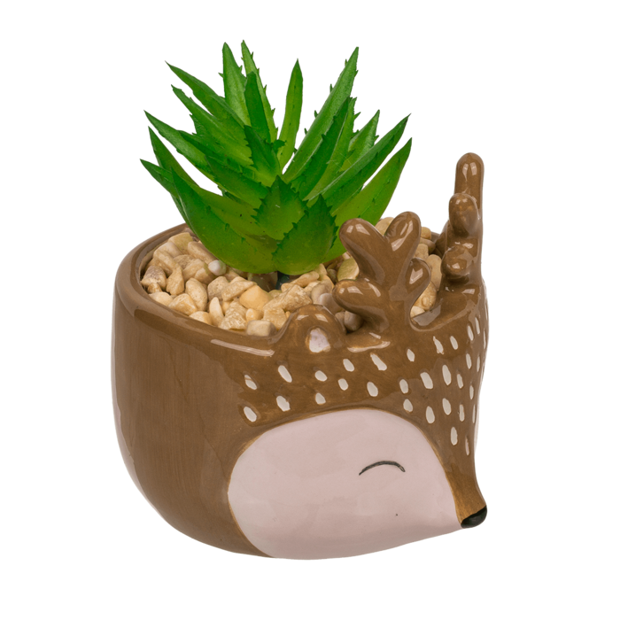 Out of the blue KG - Wholesale Succulent - Decoration succulent in pot, Animals,2