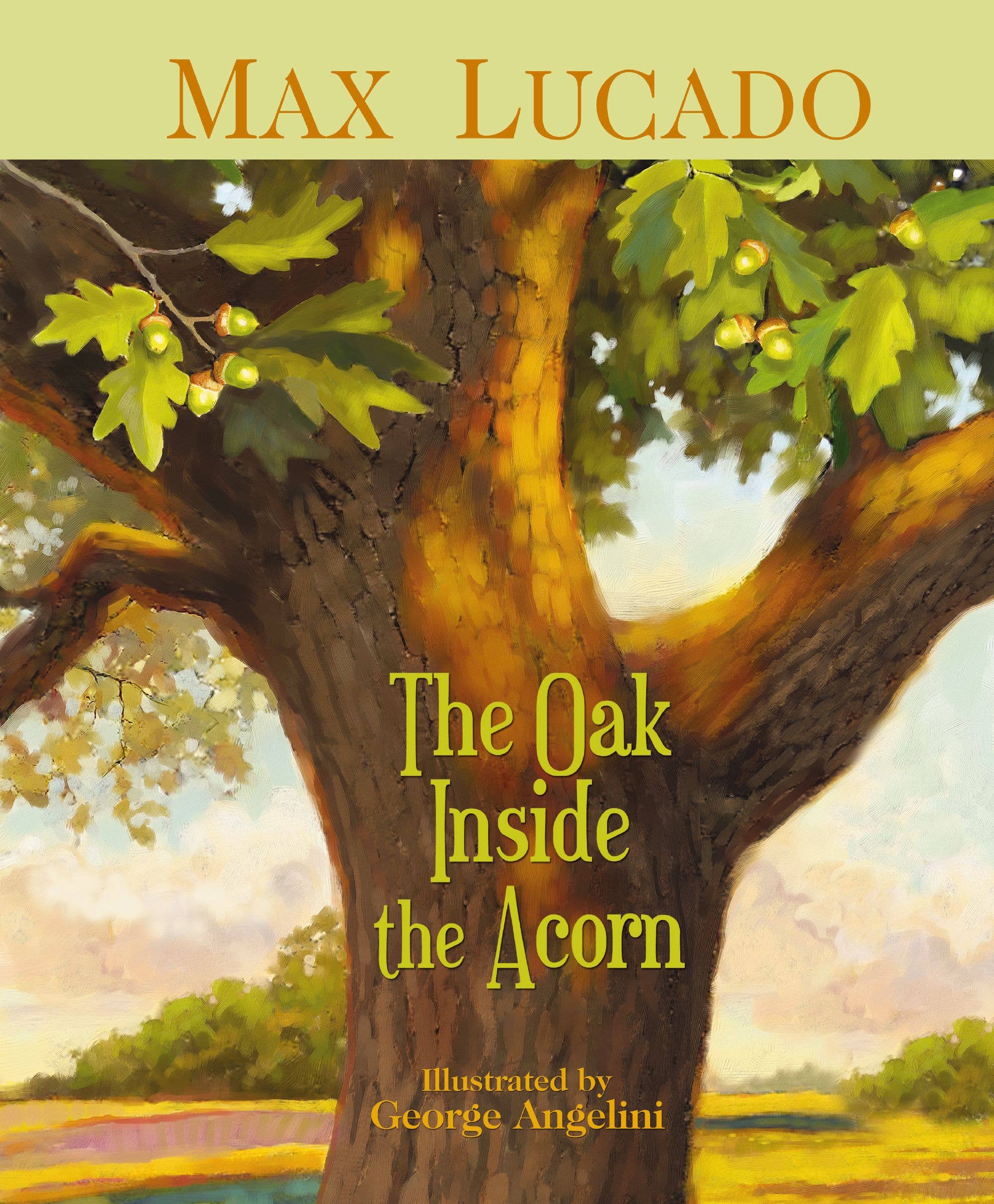 HarperCollins Christian Publishing - Wholesale Preschool Book (3-5) - Oak Inside The Acorn, The0