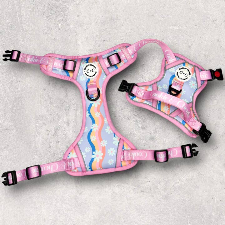 Verstellbares TUFF-Geschirr - 'Groovy Blooms' für den Großhandel von Cookie and Chewkie