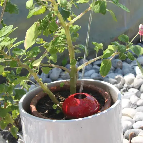 Poterie lutton - Vente Arrosoirs - Ollas Galet 15 cl – Arrosage autonome et stylé21